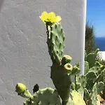 Amazing Sea View, Mykonos Cycladic Villa, Priv Pool بلاتيس يالوس